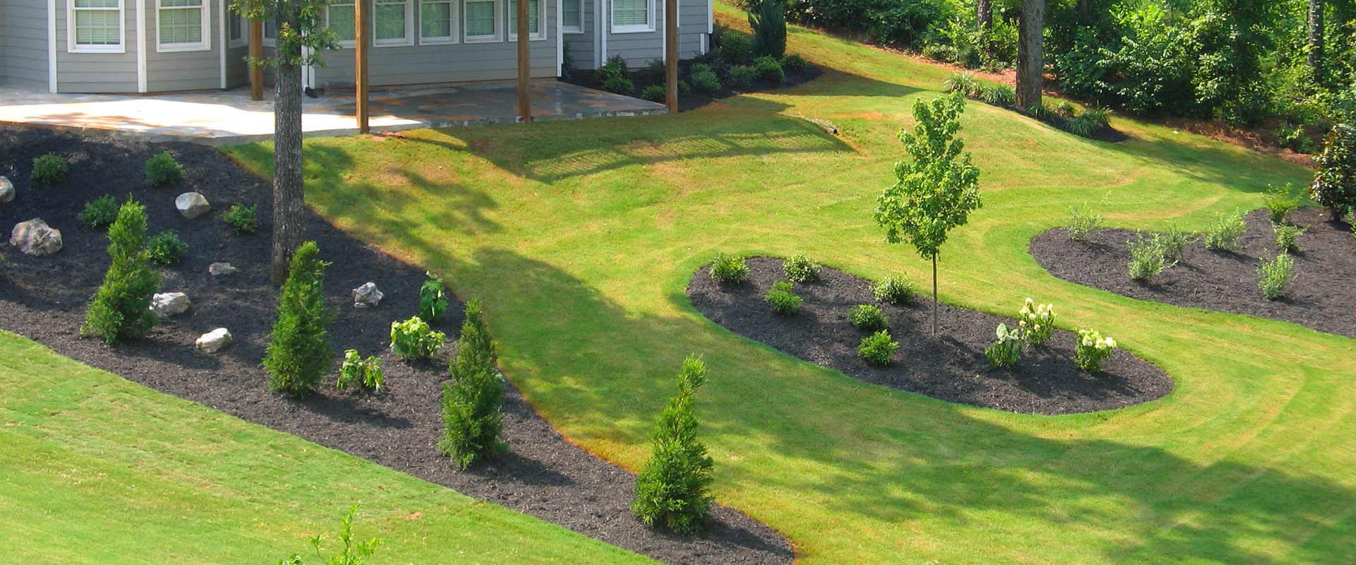What are the five basic landscaping design principles?