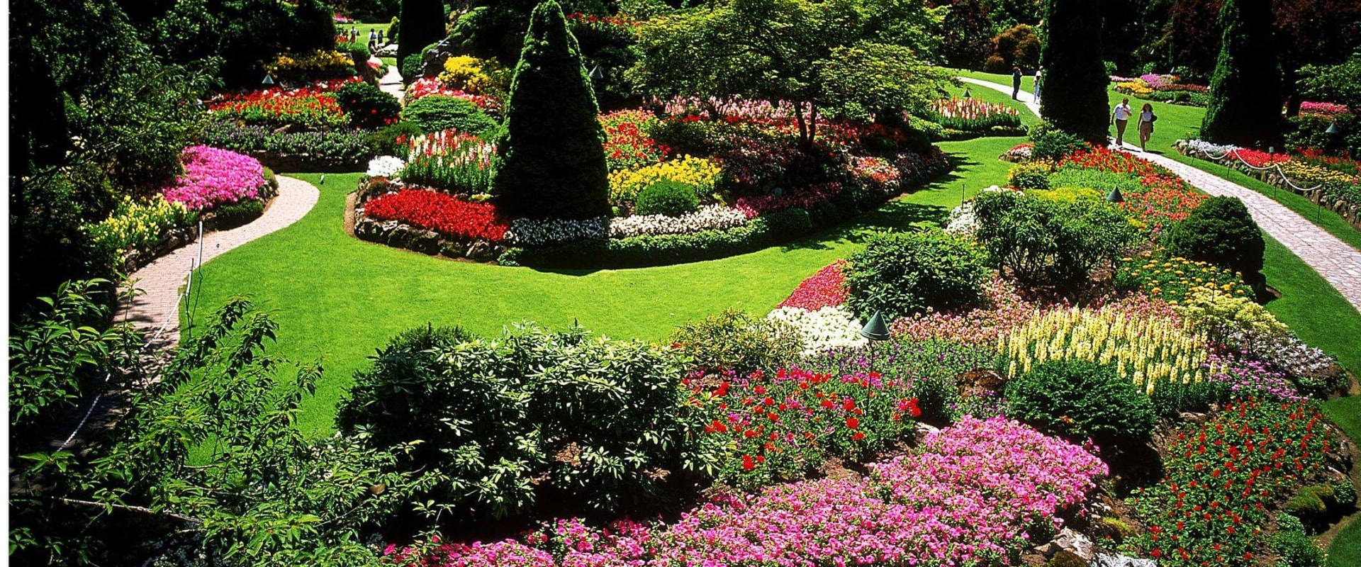 Types of landscape designs?