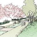 What is landscape design and management?