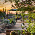 How To Maintain Your Landscape Design With Tree Services In Scottsdale