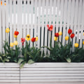 Creating A Picture-Perfect Yard: Explore The Benefits Of Fence Repair Service With Your Landscape Design In Port Charlotte