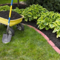 How do you landscape a front yard for beginners?