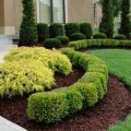 What are the five basic elements of landscape design?