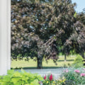 Aged Window Replacement To Enhance Your Landscape Design: How A Window Company In Colorado Springs, CO Can Help?