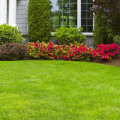 Which is the best landscape design software?