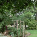 What are the 6 elements of landscape design?