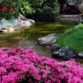 What makes a good landscape design?