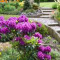 What are the five principles of landscape design?