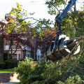 Elevate Your Landscape Design With Expert Tree Pruning Services In Groveland, MA