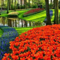 Which adobe program is best for landscape design?