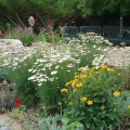 Where to learn landscape design?