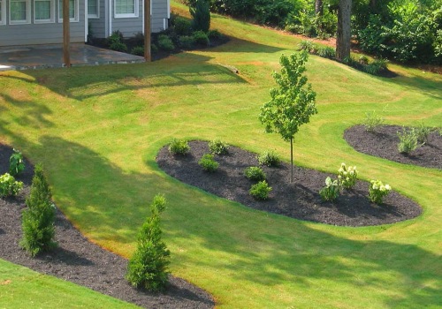 What are the five basic landscaping design principles?
