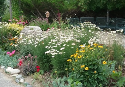 What are the five elements of landscape design?