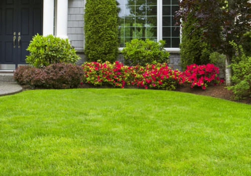 Which is the best landscape design software?