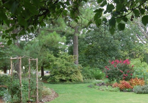 What are the 6 elements of landscape design?
