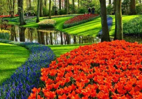 Which adobe program is best for landscape design?